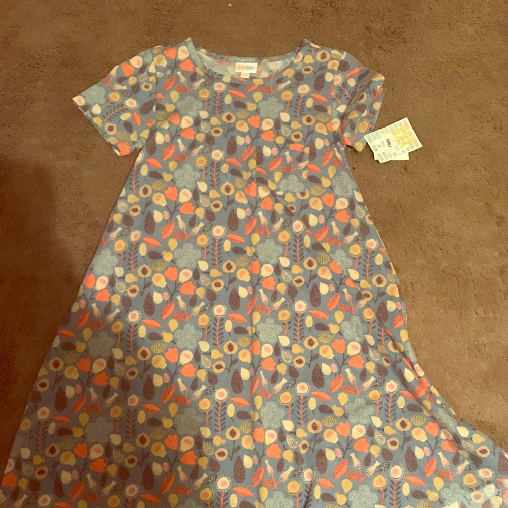 Lularoe Dress NWT !